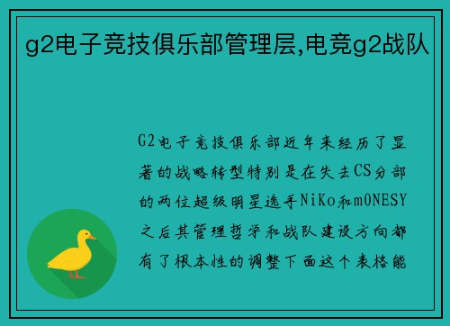 g2电子竞技俱乐部管理层,电竞g2战队
